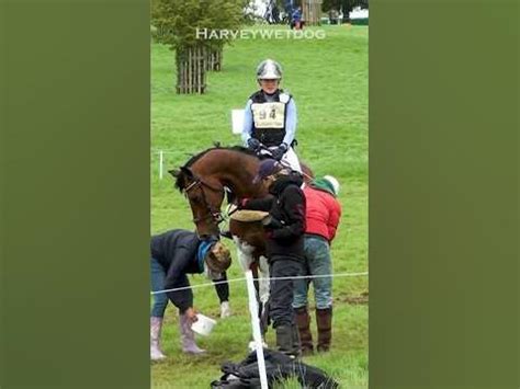 what is the white stuff on eventing horses' legs|horse front legs white.